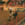 25x25_5601528