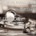 36x36_6072476
