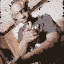 130x130_6327415