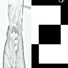 320x240_7246444