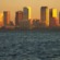55x55_4761242