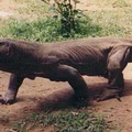 120x120_371972