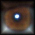 120x120_5220061