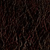 100x100_8015669