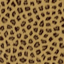 130x130_6103182