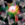 25x25_3890604