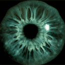 130x130_6436314