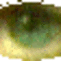 120x120_1139528
