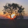 120x120_297506