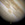 25x25_1666867