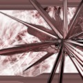 120x120_285291