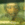 25x25_280880