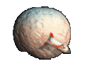 120x120_258319