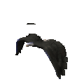 120x120_255901