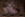 25x25_2402158