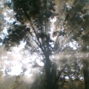 130x130_4917881