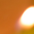 120x120_233529