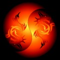 120x120_4642663