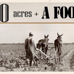 Where's My 40 Acres?!?