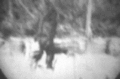 120x120_265665
