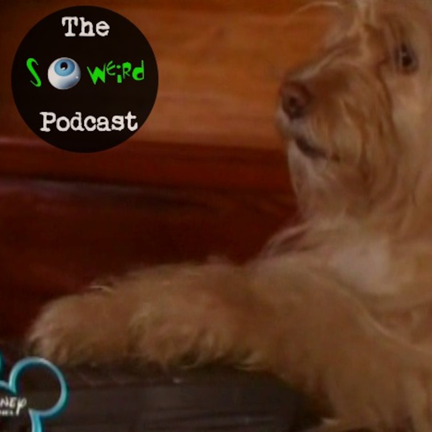 itunes pic