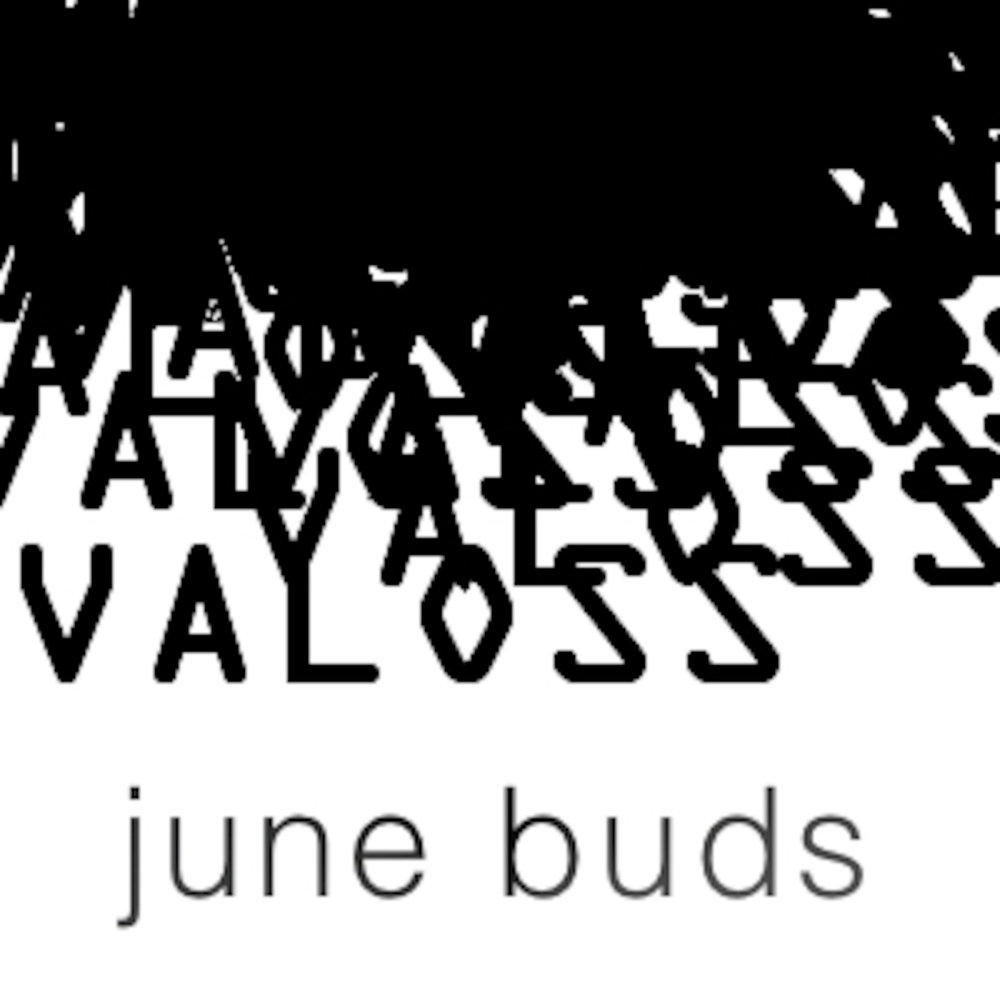 June Buds
