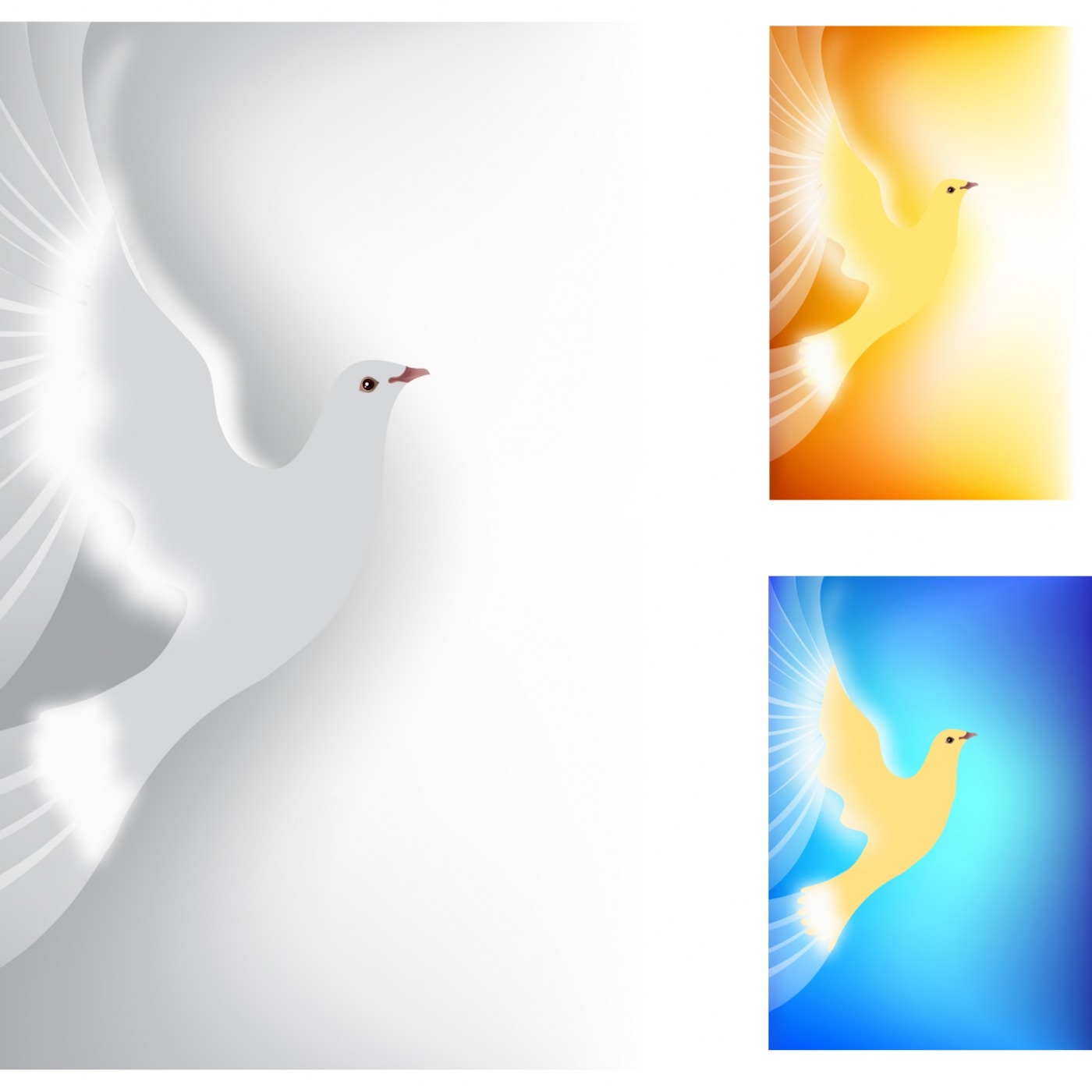 2015 The Year of The Holy Spirit - El año del Espiritu Santo