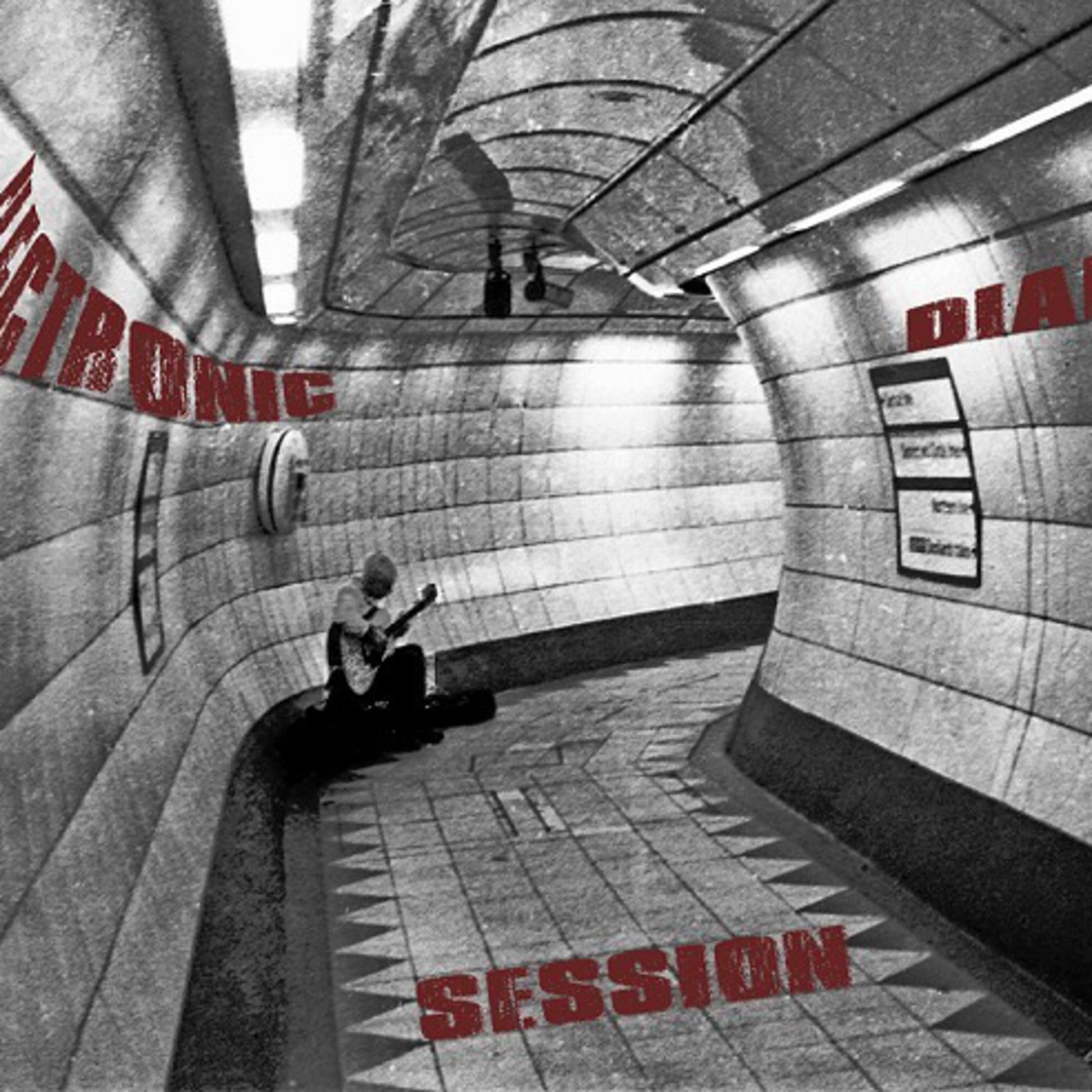 Electronic Diary Session Twenty Eight: mixed by Kartela (Tech House)