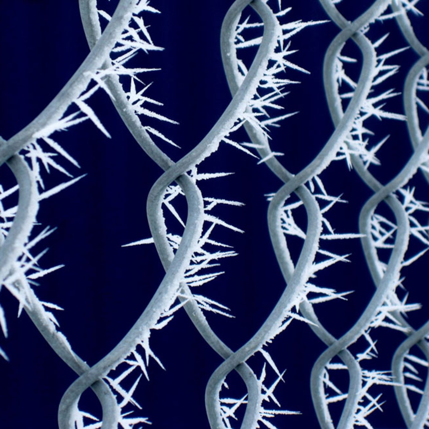 Denverb Chain Link Fence 31