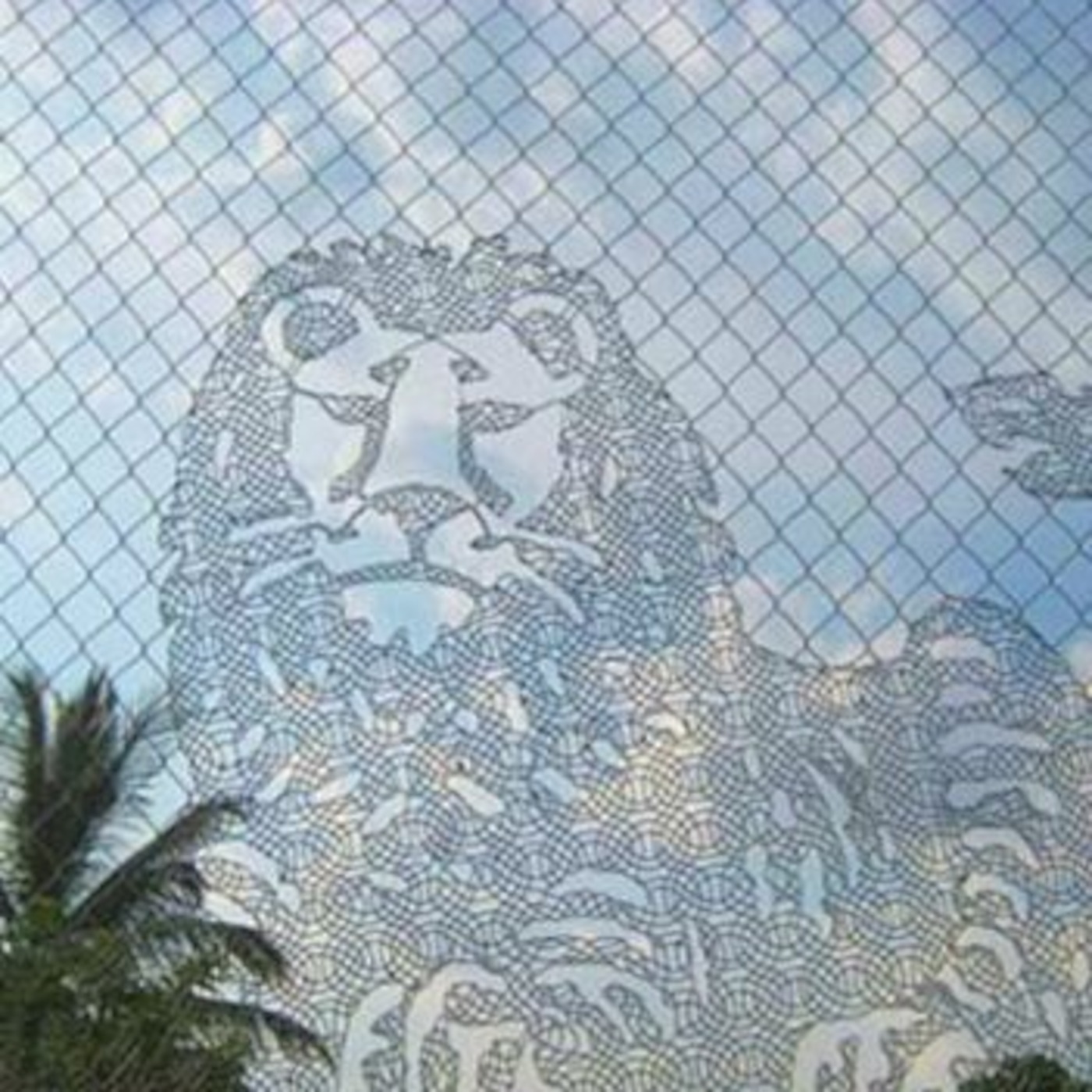 Denverb Chain Link Fence 32