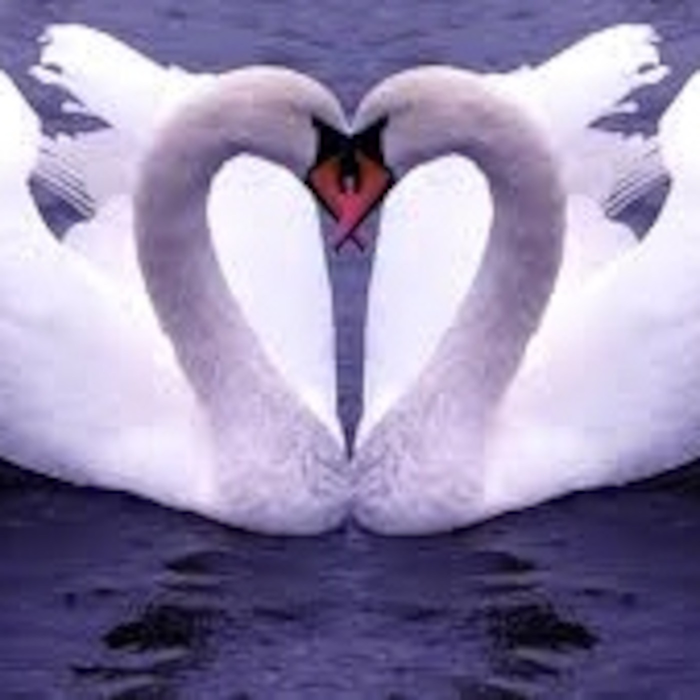 Trib's Swansong