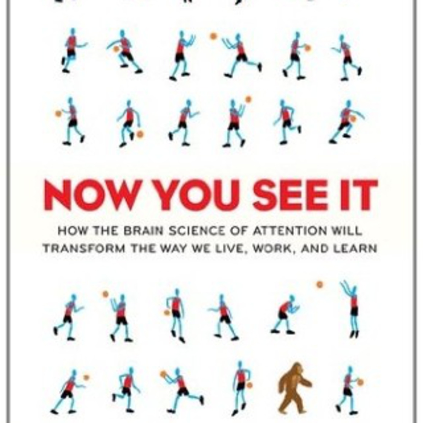 Book Review: Cathy Davidson's Now You See It: How the Brain Science of Attention Will Transform the Way We Live, Work, and Learn