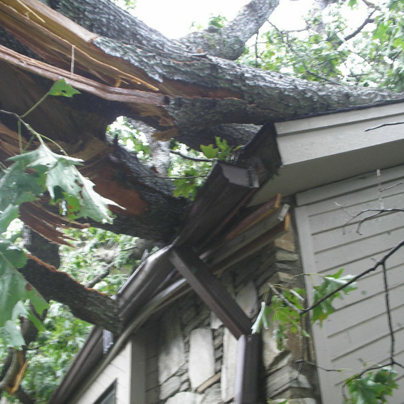 Tornado Damage and Michael Jackson