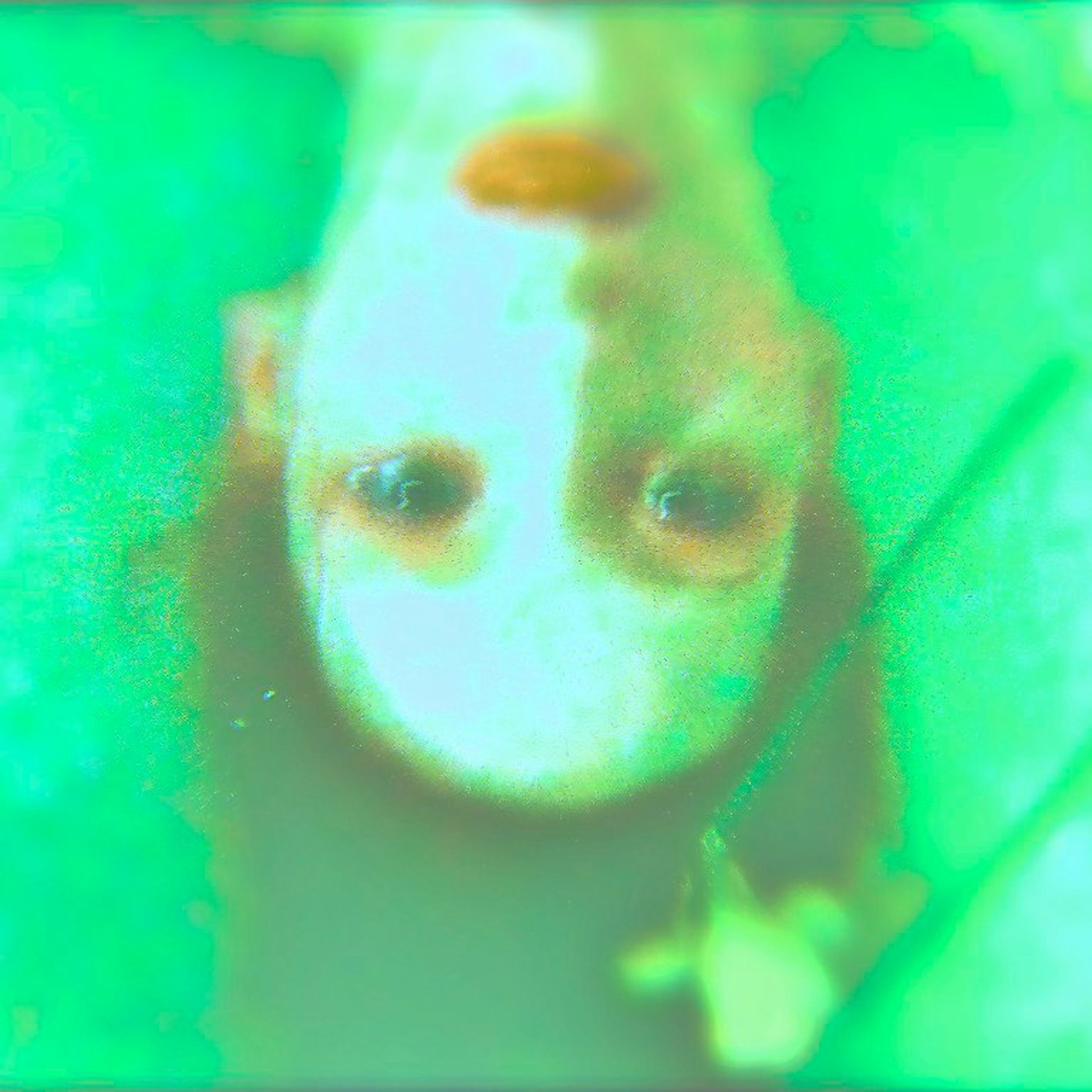 INSIDE OF YOU INSIDE OF YOU