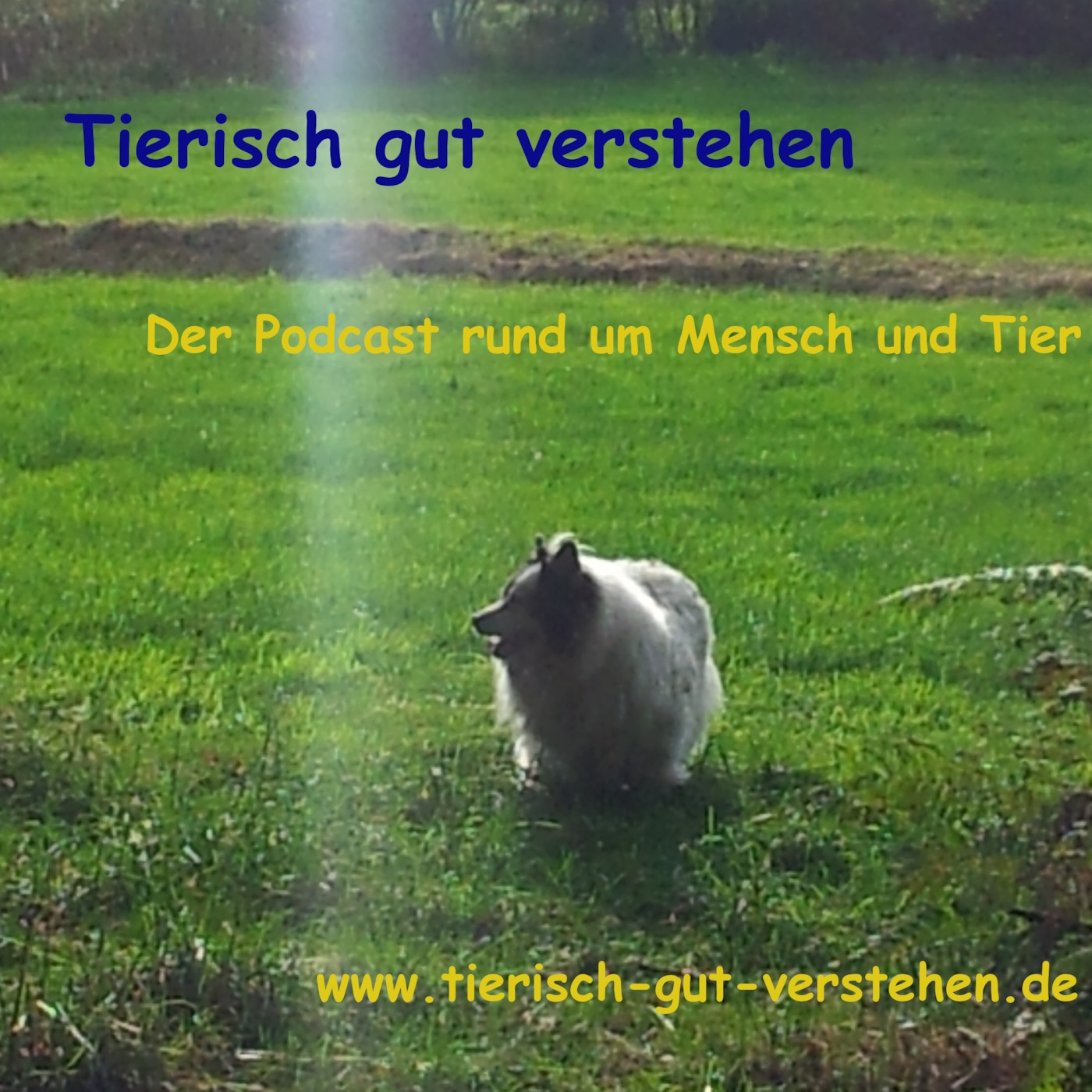 Tierisch gut verstehen