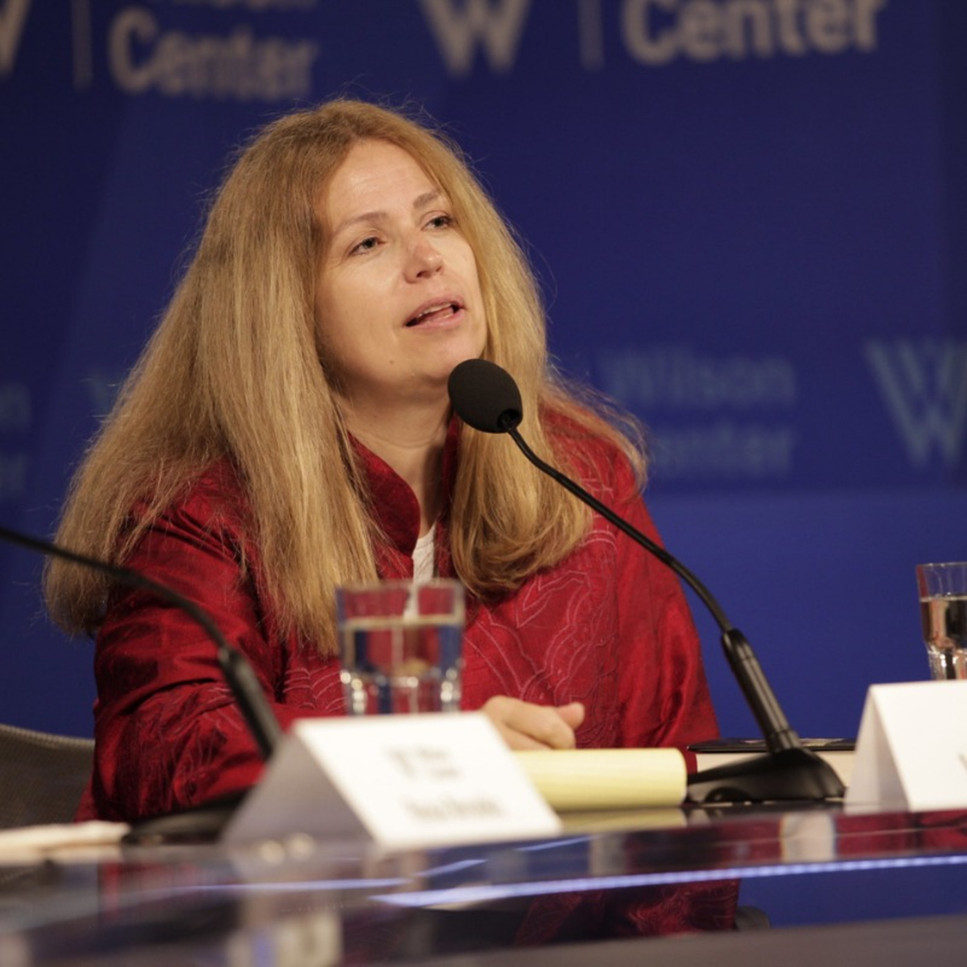 Valerie M Hudson On How Sex Shapes Governance And National Security