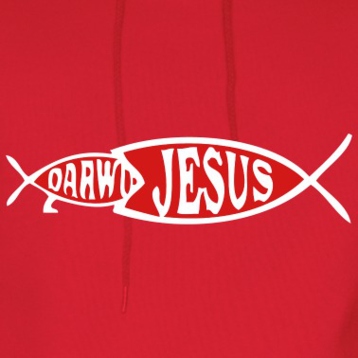 Why Christianity & Darwinism Do Not Go Together