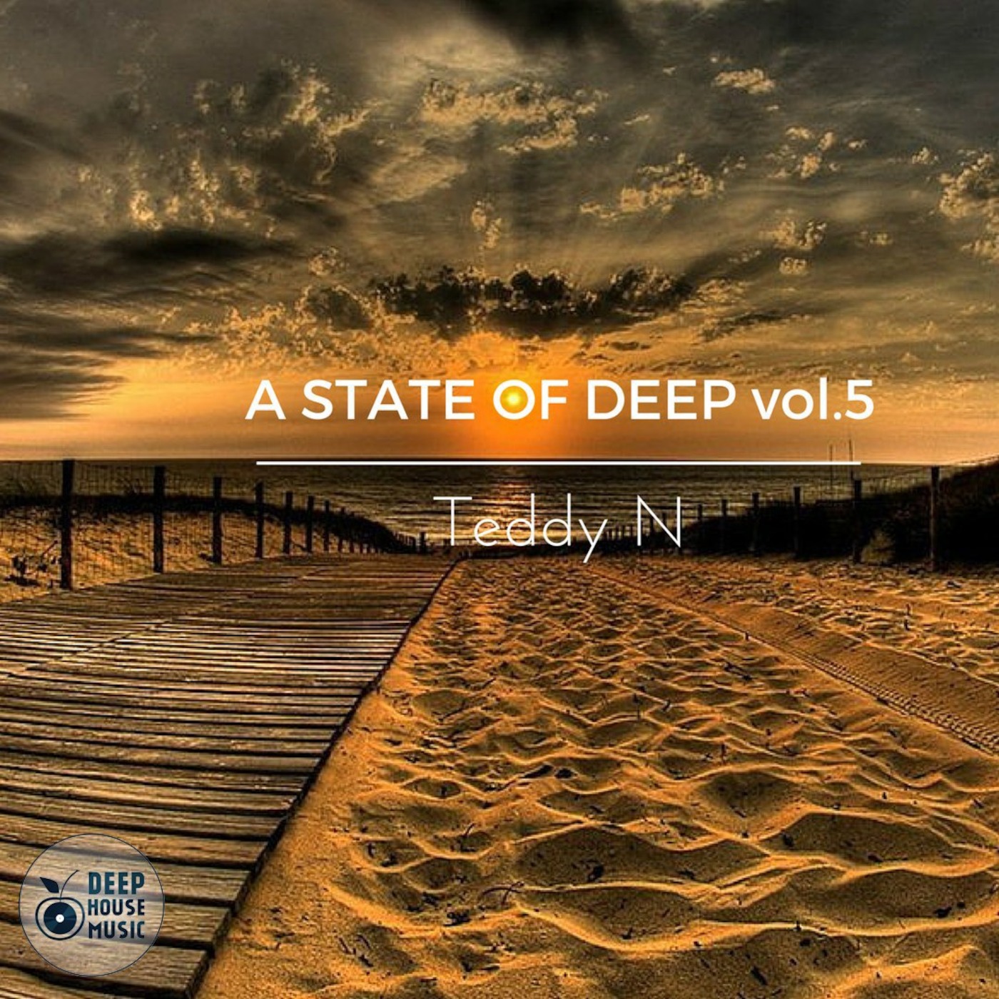 Teddy N - A State Of Deep vol.5