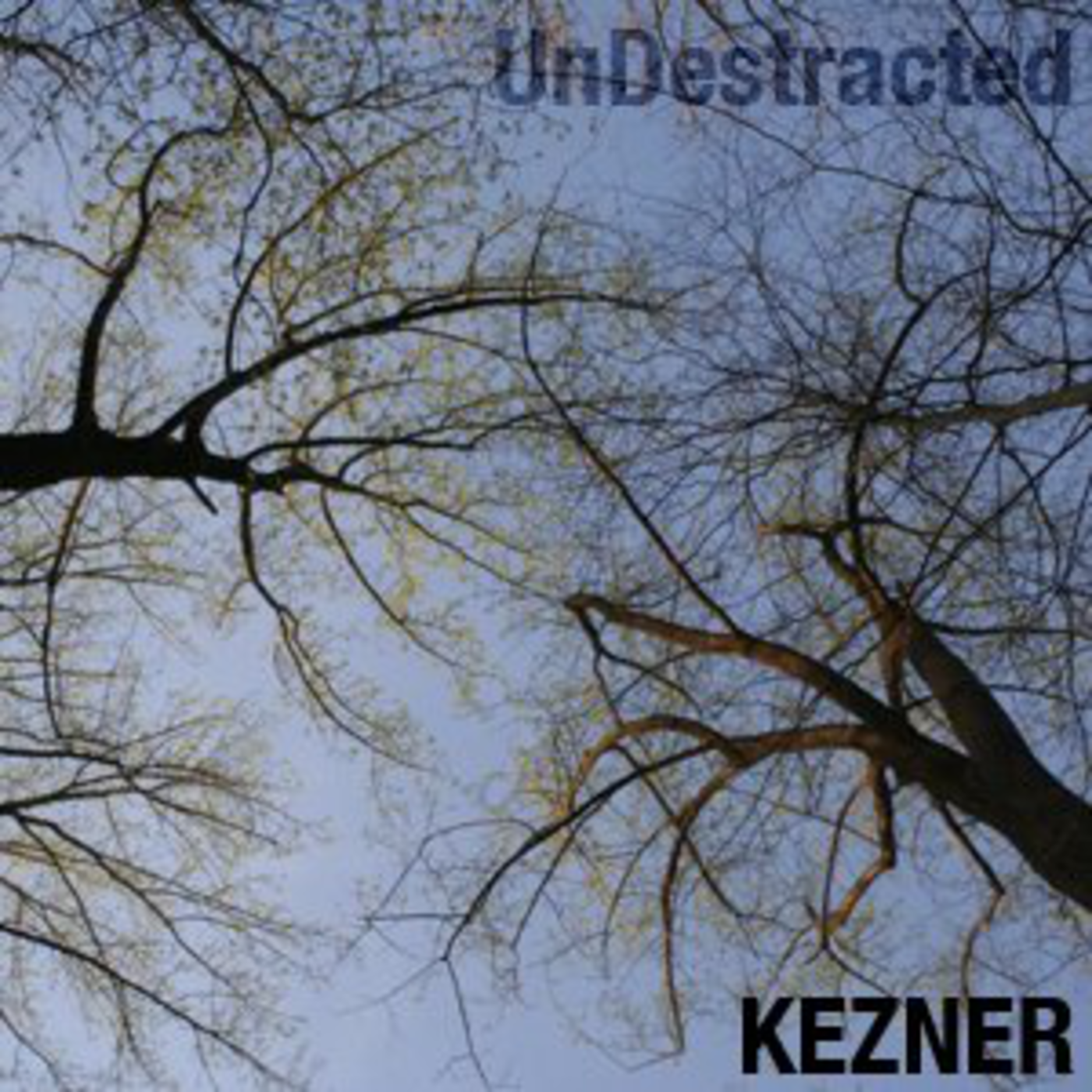 UnDestracted