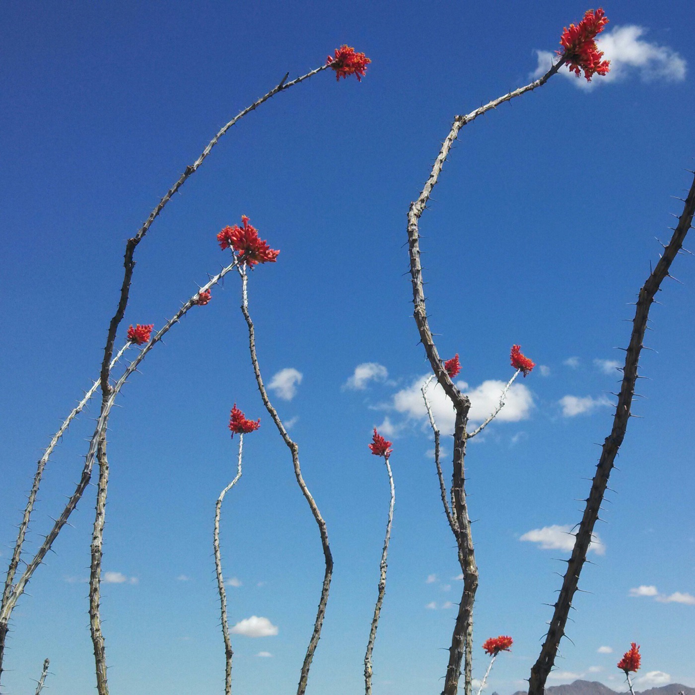 Seeds and Stems Show 4-5-14