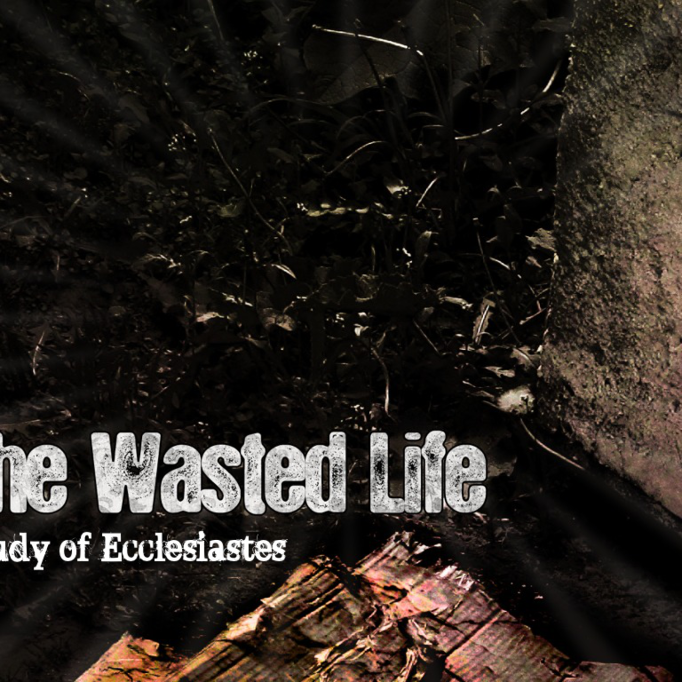 The Wasted Life - Part 5