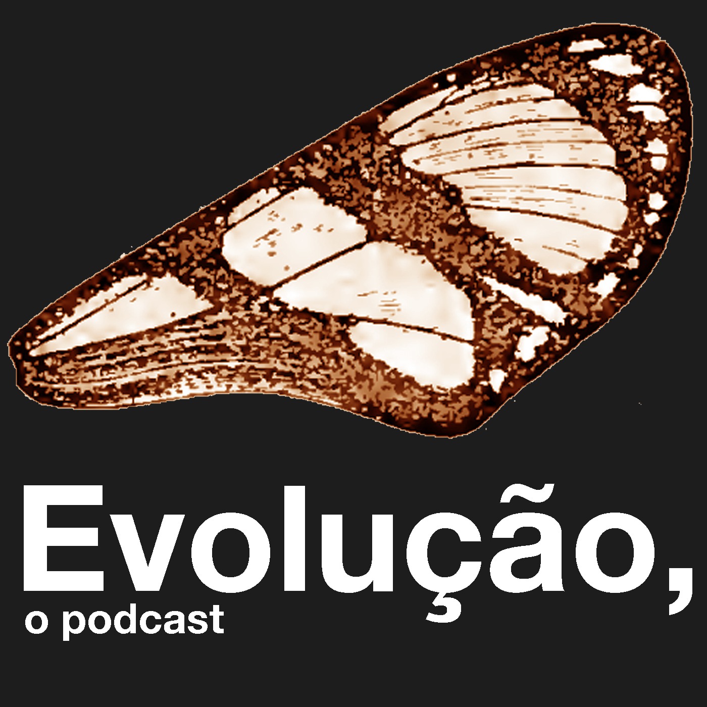 Episódio 01 - Extinção - Entrevista com o Prof. José Alexandre Diniz-Filho