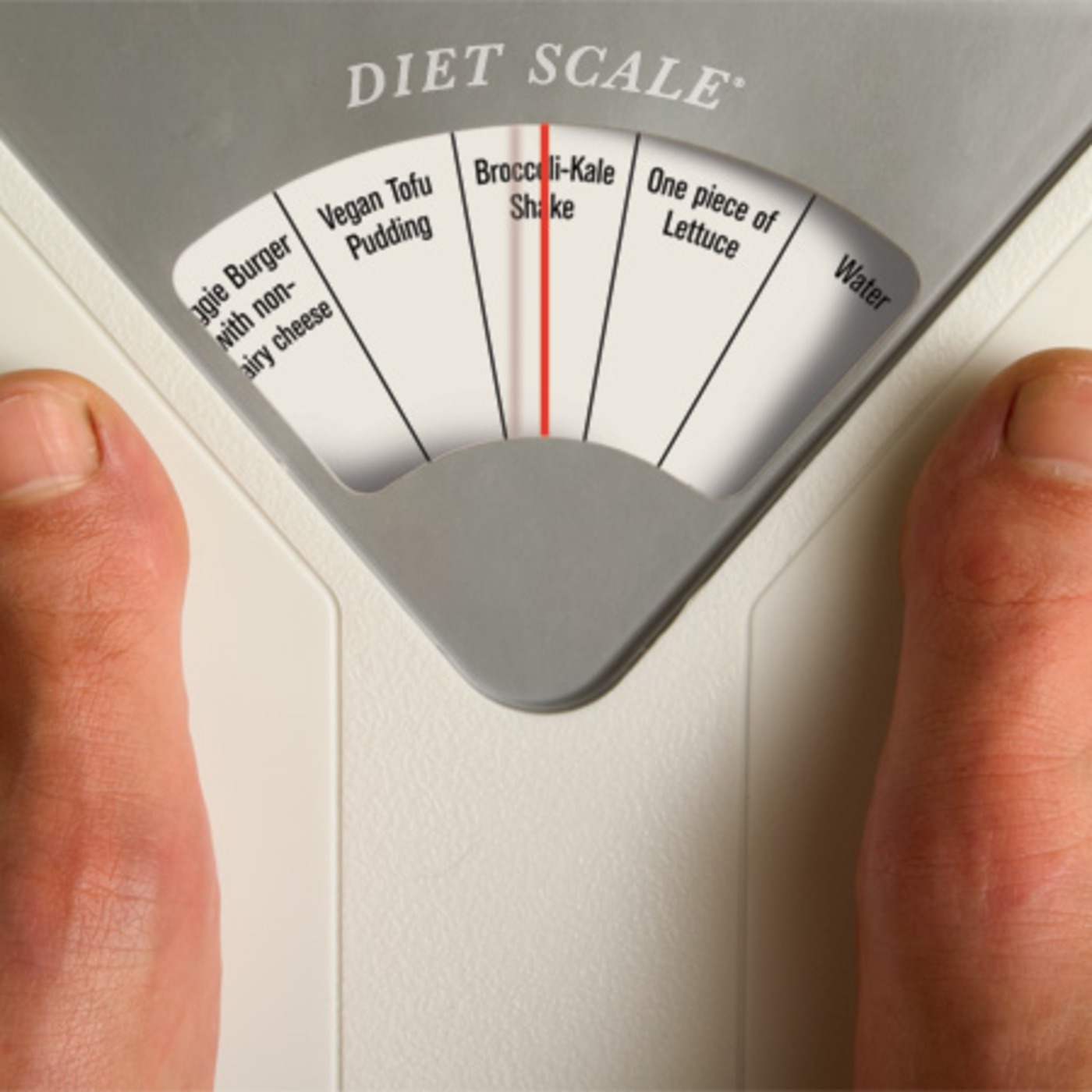 Portrait of a Business: Women and Their Weight