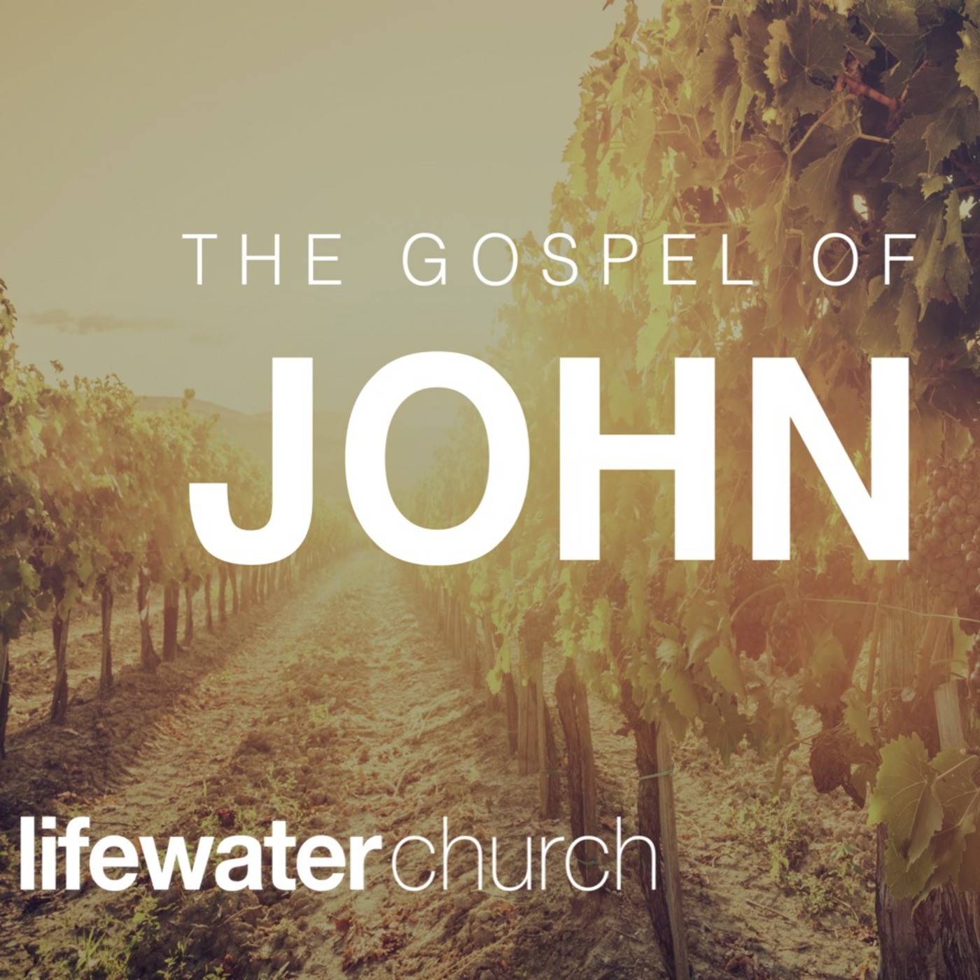 John Week 6
