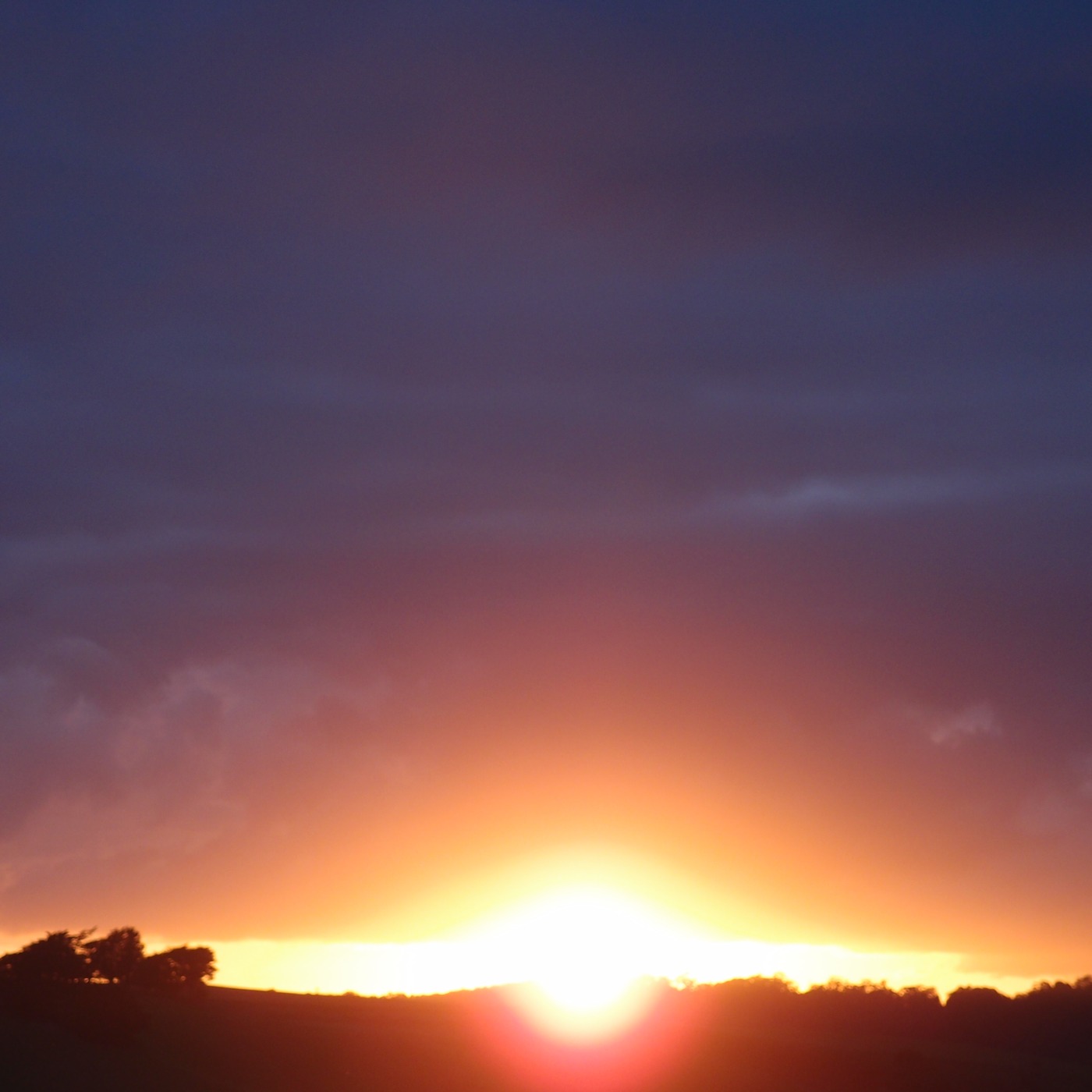 Will the real Son stand up?