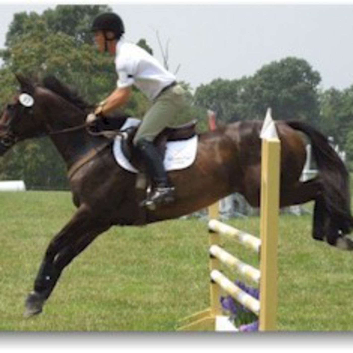 Maryland Horse Trials (Video) Maryland Horse Trials (Video)