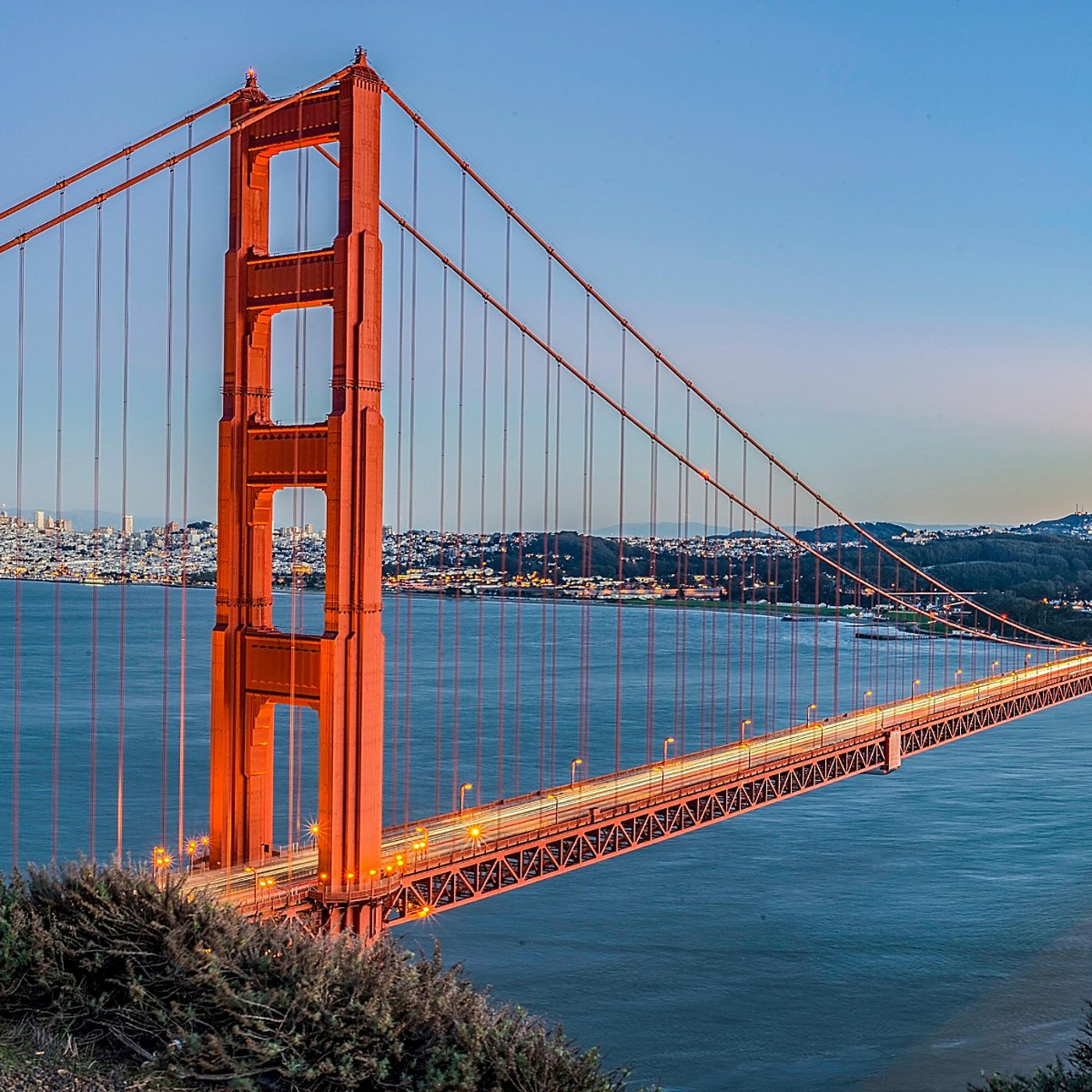 The Golden Culture of San Francisco
