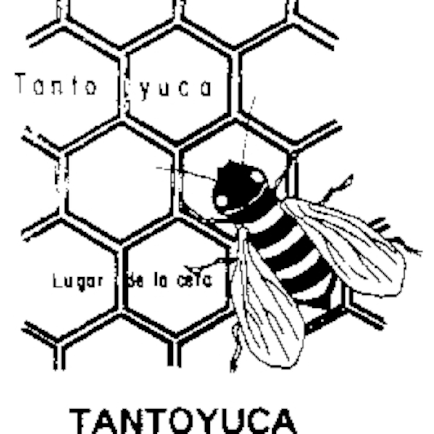 Independencia Tantoyuquense