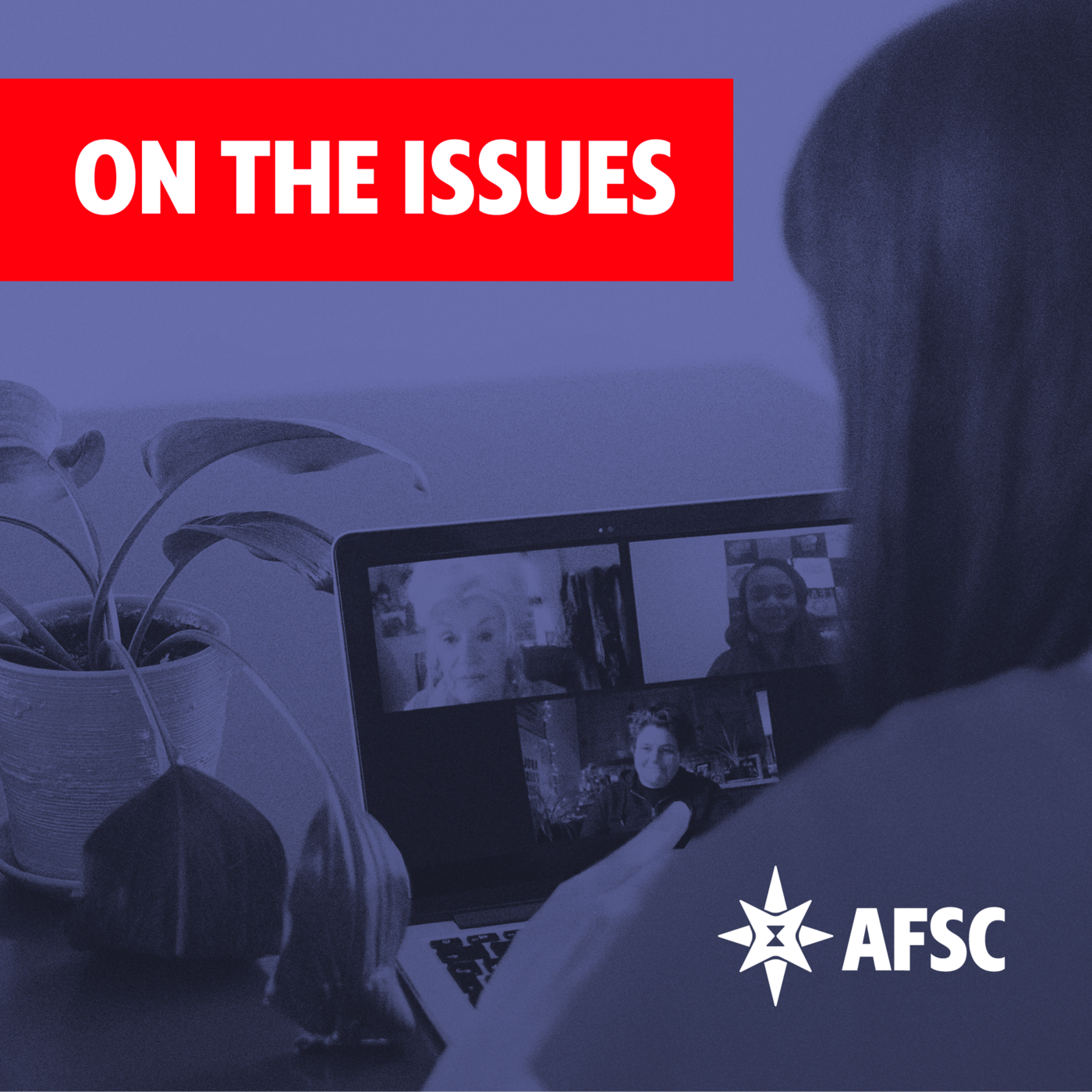 AFSC On the Issues