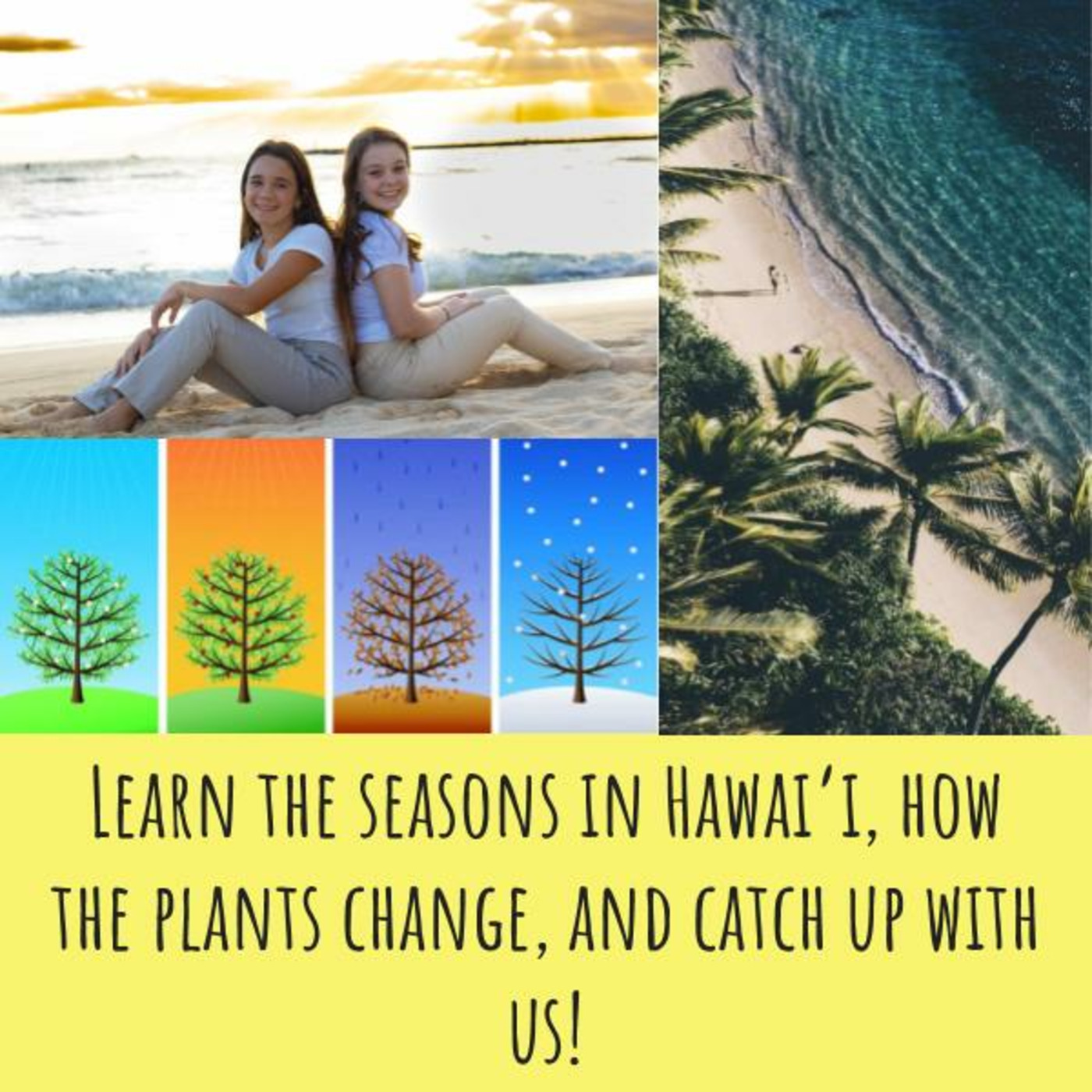 Learn the Seasons in Hawai'i, How the Plants Change, and Catch up With Us!